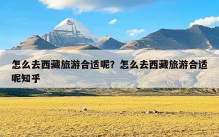 怎么去西藏旅游合适呢？怎么去西藏旅游合适呢知乎