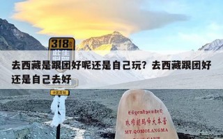 去西藏是跟团好呢还是自己玩？去西藏跟团好还是自己去好
