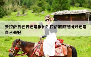 去拉萨自己去还是报团？拉萨旅游报团好还是自己去好