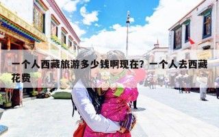 一个人西藏旅游多少钱啊现在？一个人去西藏花费