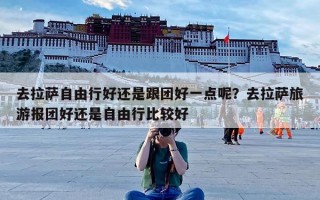 去拉萨自由行好还是跟团好一点呢？去拉萨旅游报团好还是自由行比较好