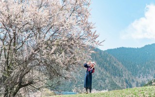 4月苏州到拉萨旅游一趟得多少钱？4月苏州去拉萨游玩花费要多少？