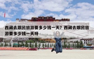 西藏去跟团旅游要多少钱一天？西藏去跟团旅游要多少钱一天呀