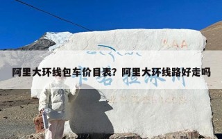 阿里大环线包车价目表？阿里大环线路好走吗