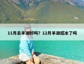 11月去羊湖好吗？12月羊湖结冰了吗