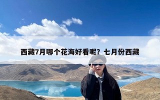 西藏7月哪个花海好看呢？七月份西藏