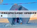 8月初去拉萨有什么好玩的？拉萨旅游8月景点