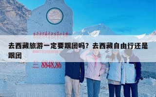 去西藏旅游一定要跟团吗？去西藏自由行还是跟团