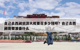自己去西藏旅游大概要花多少钱呀？自己去西藏需要准备什么