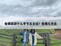 鲁朗旅游什么季节去合适？鲁朗几月去