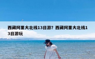 西藏阿里大北线13日游？西藏阿里大北线13日游玩