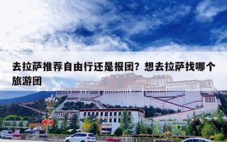 去拉萨推荐自由行还是报团？想去拉萨找哪个旅游团