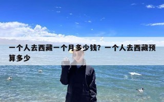 一个人去西藏一个月多少钱？一个人去西藏预算多少