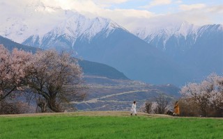 3月份西藏旅游路线？三月份西藏旅游景点路线攻略？