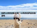 拉萨12月份还能去吗？12月的拉萨适合旅游吗