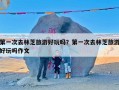 第一次去林芝旅游好玩吗？第一次去林芝旅游好玩吗作文