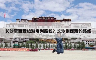 长沙至西藏旅游专列路线？长沙到西藏的路线