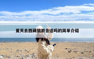 夏天去西藏旅游合适吗的简单介绍
