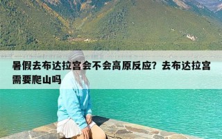 暑假去布达拉宫会不会高原反应？去布达拉宫需要爬山吗