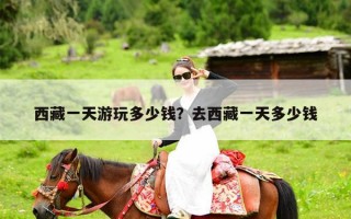 西藏一天游玩多少钱？去西藏一天多少钱