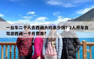 一台车二个人去西藏大约多少钱？2人开车自驾游西藏一个月费用?