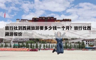 旅行社到西藏旅游要多少钱一个月？旅行社西藏游报价