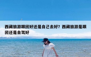西藏旅游跟团好还是自己去好？西藏旅游是跟团还是自驾好
