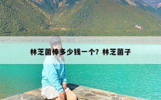 林芝菌棒多少钱一个？林芝菌子