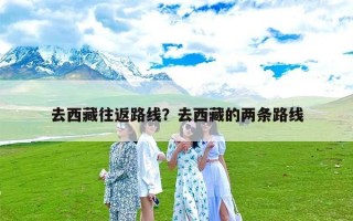 去西藏往返路线？去西藏的两条路线