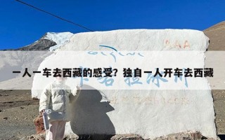 一人一车去西藏的感受？独自一人开车去西藏