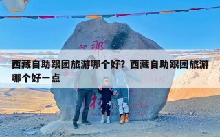 西藏自助跟团旅游哪个好？西藏自助跟团旅游哪个好一点