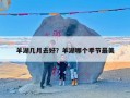 羊湖几月去好？羊湖哪个季节最美