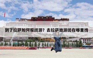 到了拉萨如何报团游？去拉萨旅游团在哪里找