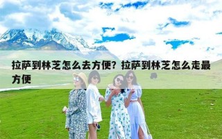 拉萨到林芝怎么去方便？拉萨到林芝怎么走最方便
