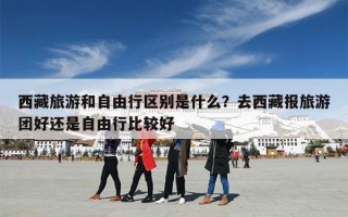 西藏旅游和自由行区别是什么？去西藏报旅游团好还是自由行比较好