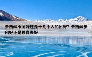 去西藏小团好还是十几个人的团好？去西藏参团好还是独自去好