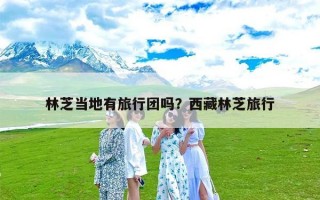 林芝当地有旅行团吗？西藏林芝旅行