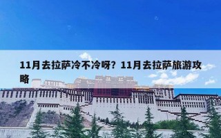 11月去拉萨冷不冷呀？11月去拉萨旅游攻略