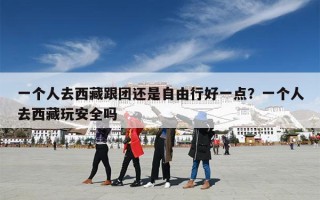 一个人去西藏跟团还是自由行好一点？一个人去西藏玩安全吗