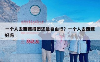 一个人去西藏报团还是自由行？一个人去西藏好吗