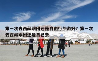 第一次去西藏跟团还是自由行旅游好？第一次去西藏跟团还是自己去