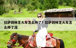 拉萨到林芝火车怎么停了？拉萨到林芝火车怎么停了没