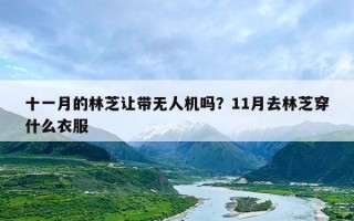 十一月的林芝让带无人机吗？11月去林芝穿什么衣服