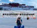 春天去拉萨好玩吗？春节去拉萨好玩吗