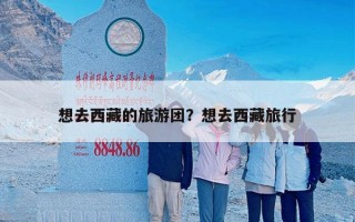 想去西藏的旅游团？想去西藏旅行