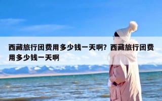 西藏旅行团费用多少钱一天啊？西藏旅行团费用多少钱一天啊