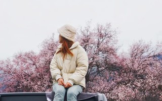 拉萨去林芝包车玩一次多少钱？从拉萨包车去林芝游一趟多少钱？