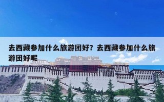 去西藏参加什么旅游团好？去西藏参加什么旅游团好呢