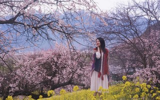 4月去西藏旅游5天要消费多少钱？4月去西藏费用5日游要多少钱？