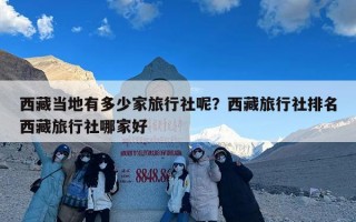 西藏当地有多少家旅行社呢？西藏旅行社排名西藏旅行社哪家好